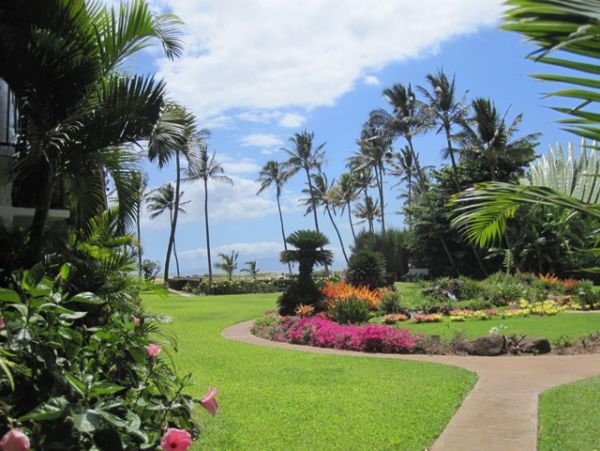 Kihei Condo 978175