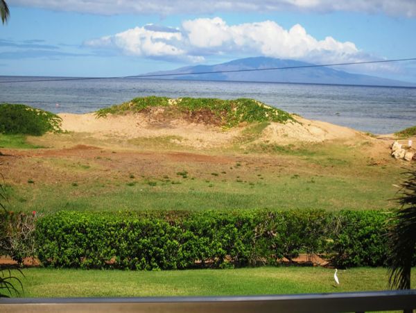 Kihei Condo 978175