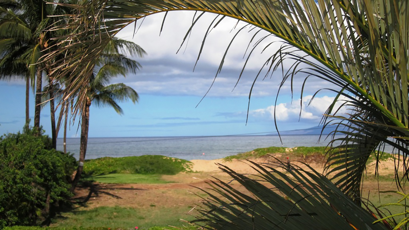 Kihei Condo 978175