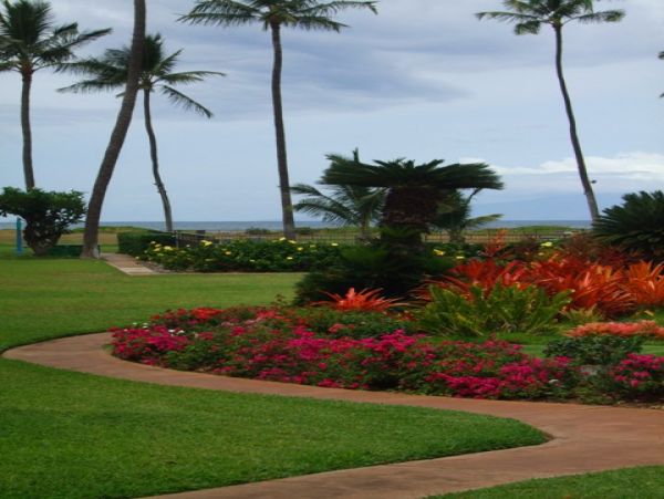 Kihei Condo 978181