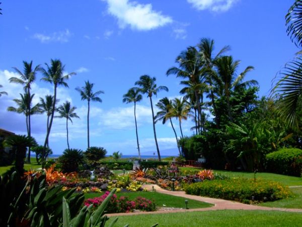 Kihei Condo 978181