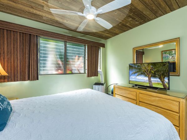 Kihei Condo 978183