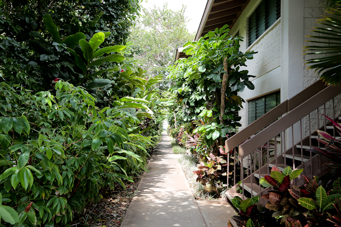 Kihei Condo 978183