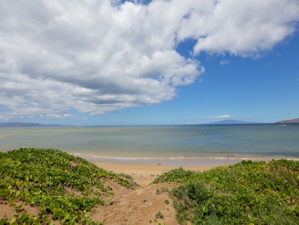 Kihei Condo 978183