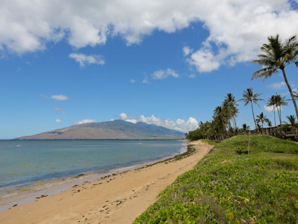 Kihei Condo 978183