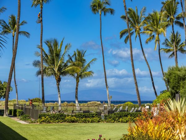 Kihei Condo 978185