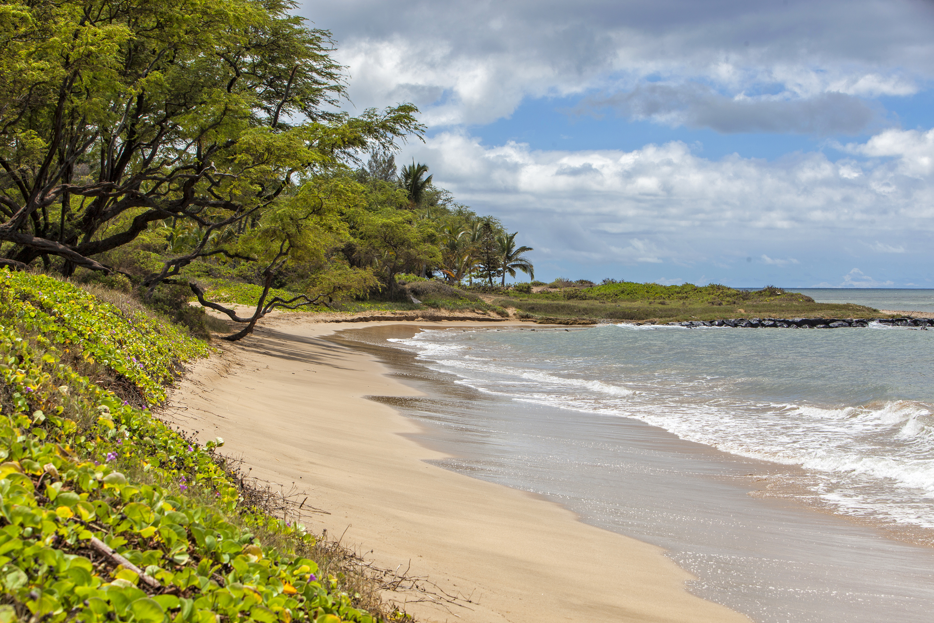 Kihei Condo 978185