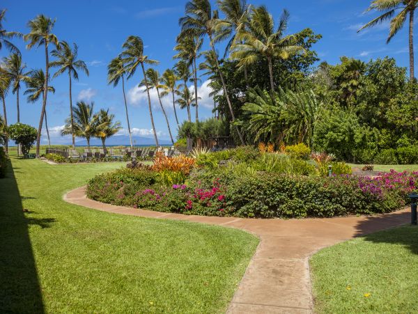Kihei Condo 978186