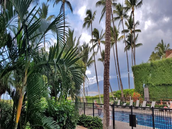 Kihei Condo 978189