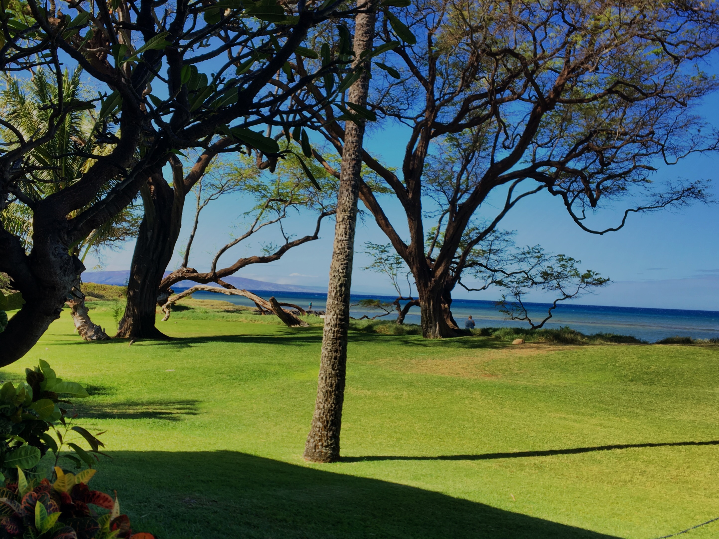 Kihei Condo 978190