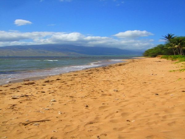 Kihei Condo 978191