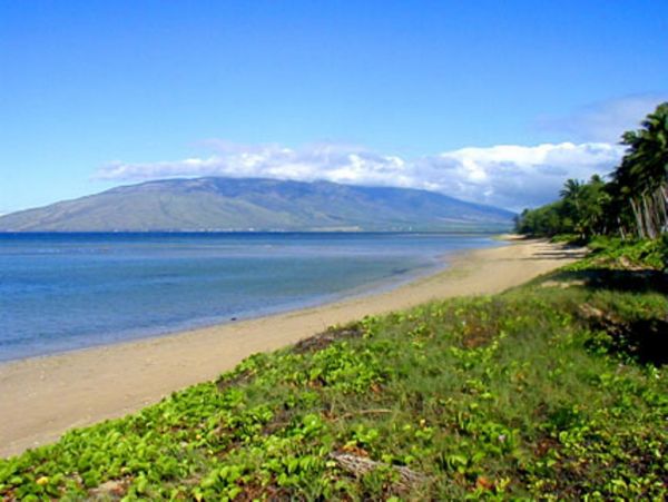 Kihei Condo 978191