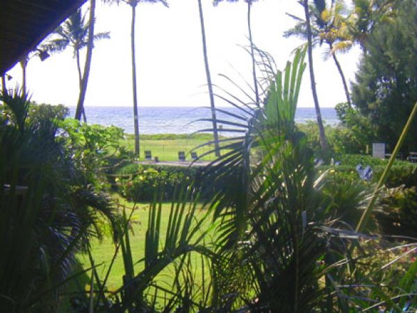 Kihei Condo 978192