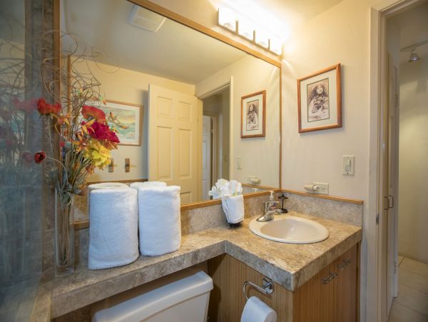 Kihei Condo 978193