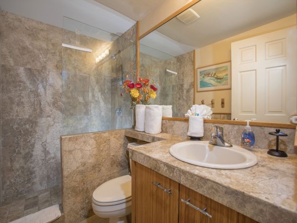 Kihei Condo 978193