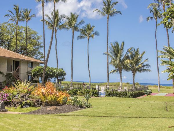 Kihei Condo 978193