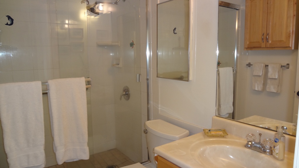 Kihei Condo 978195