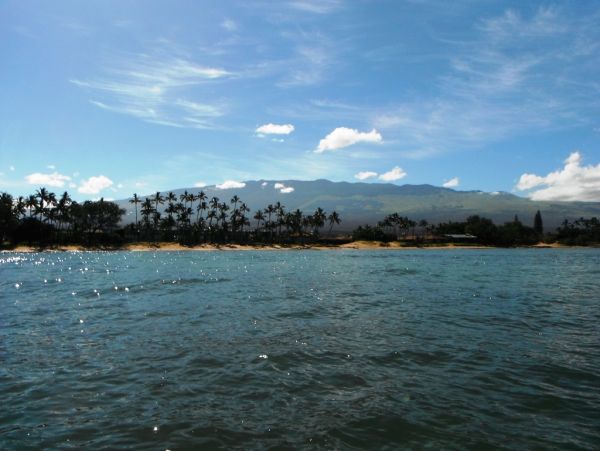 Kihei Condo 978195