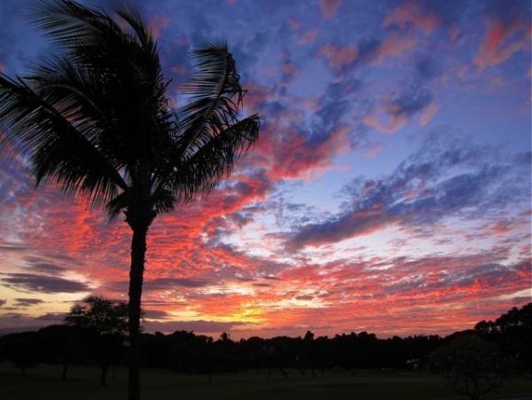 Wailea Condo 978197
