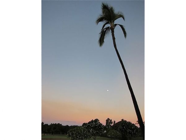 Wailea Condo 978197