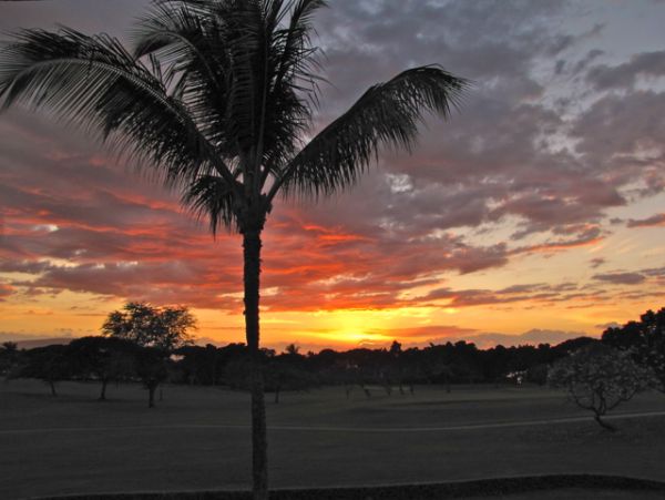 Wailea Condo 978197