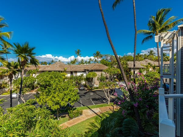 Wailea Condo 978198