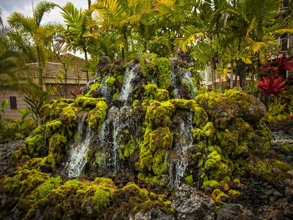 Wailea Condo 978198