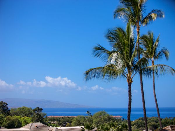Wailea Condo 978199