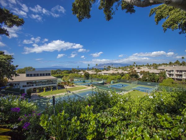 Wailea Condo 978199