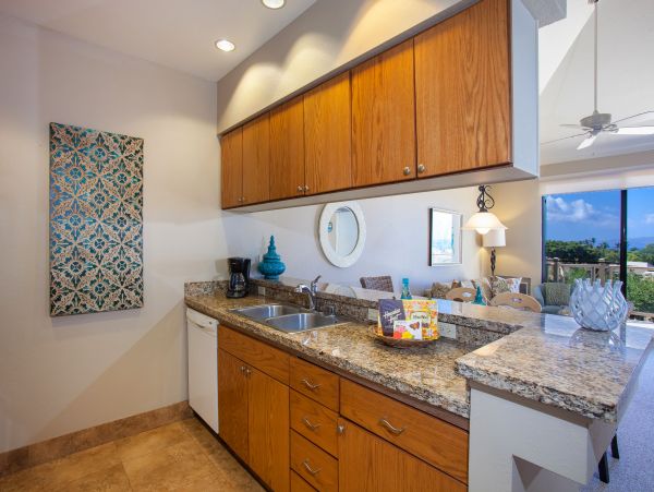 Wailea Condo 978199