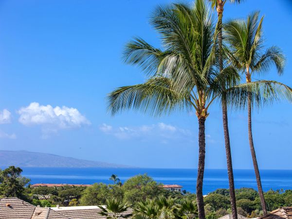 Wailea Condo 978199