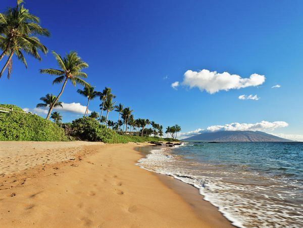 Wailea 2 Bedroom Vacation Condo Close to Beach Sleeps
