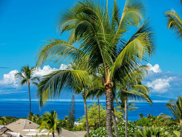 Wailea 2 Bedroom Vacation Condo Close to Beach Sleeps