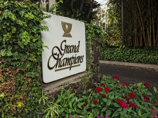 Wailea Condo 978201