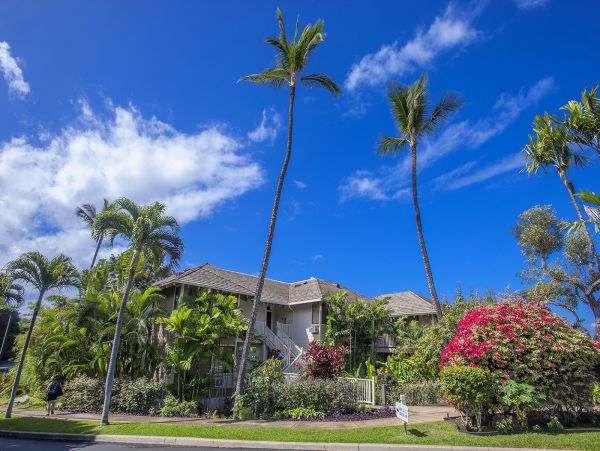 Wailea Condo 978201
