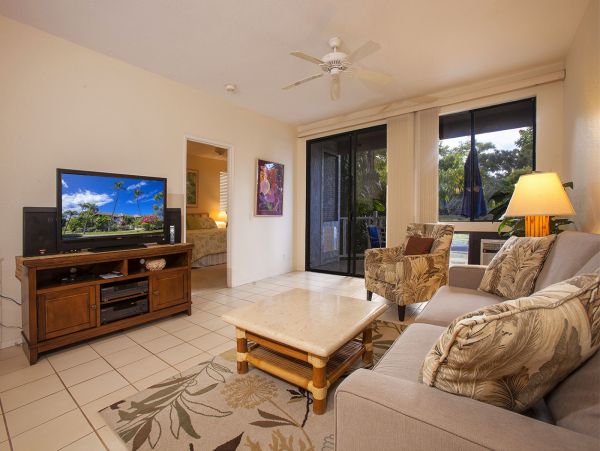 Wailea Condo 978201