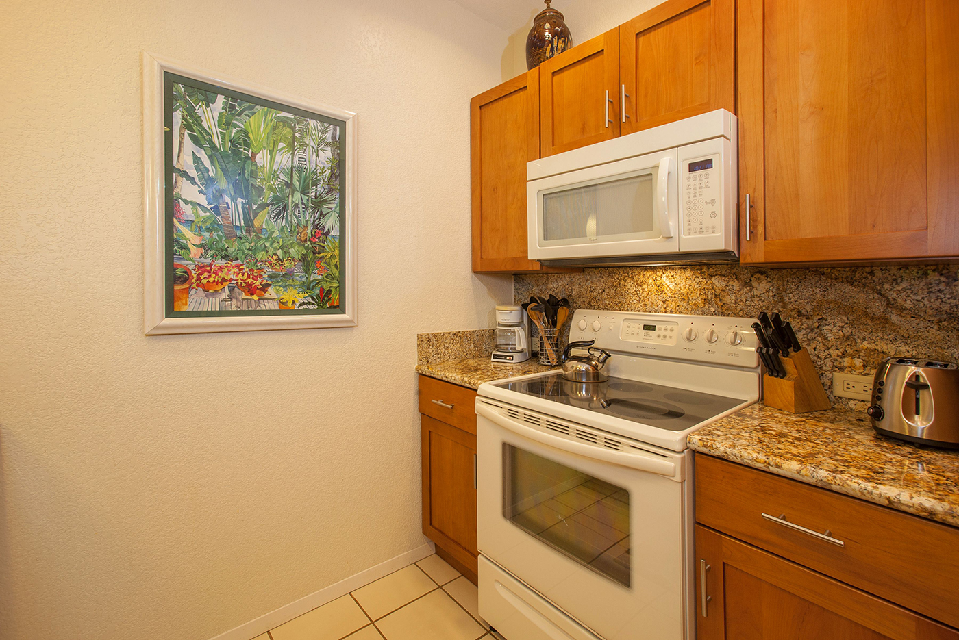 Wailea Condo 978201
