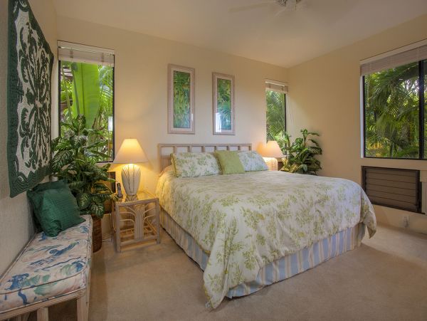Wailea Condo 978201