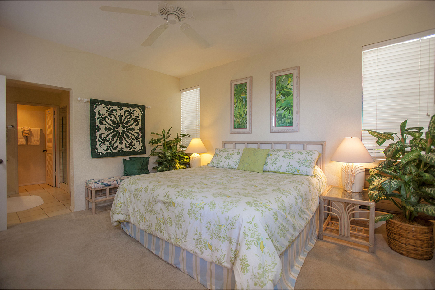 Wailea Condo 978201