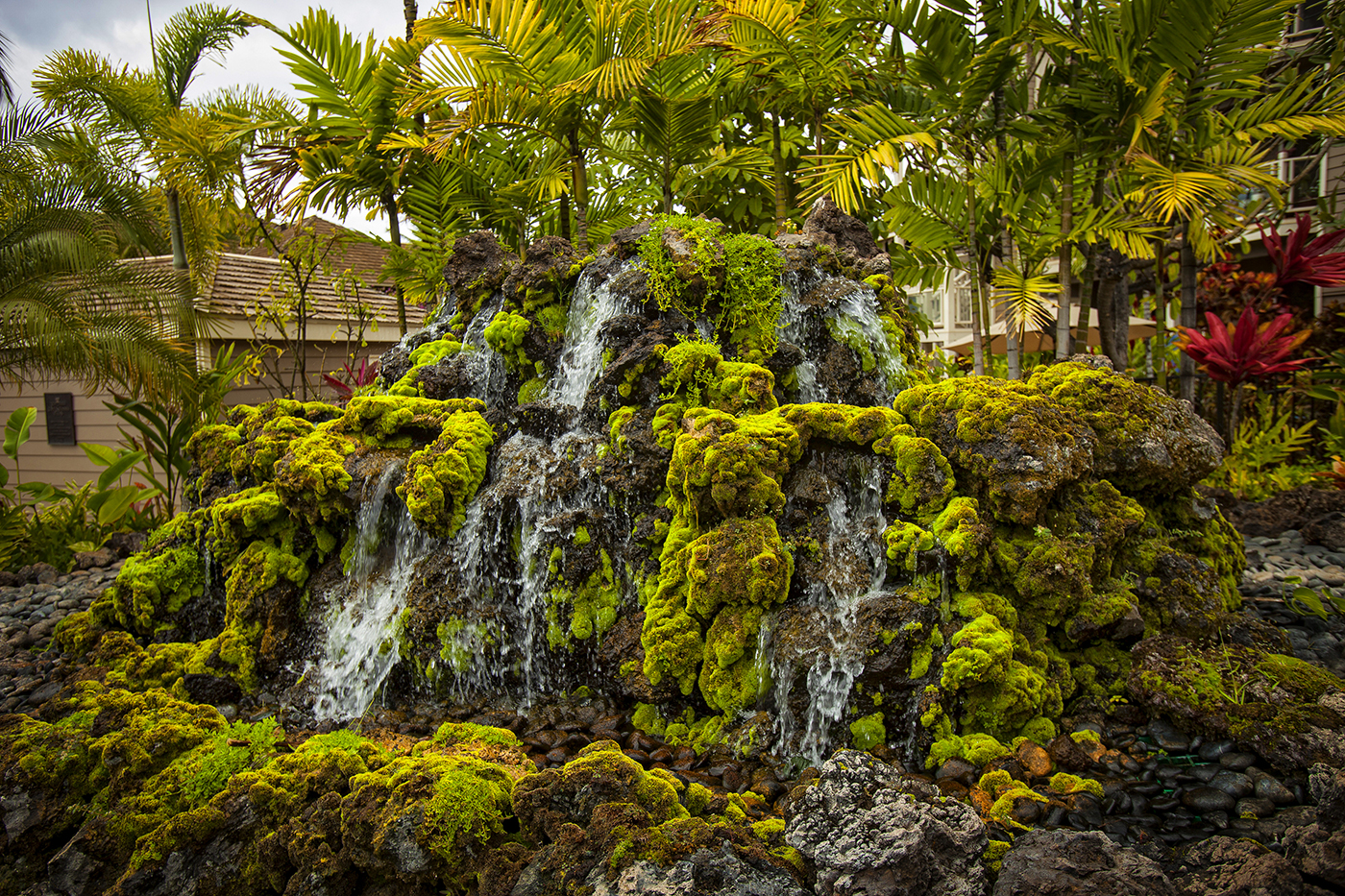 Wailea Condo 978201