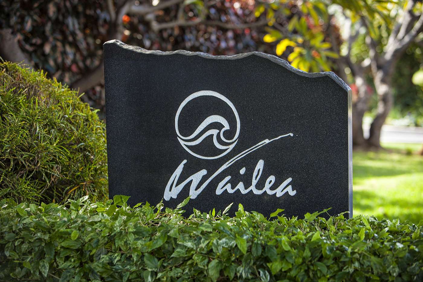 Wailea Condo 978201