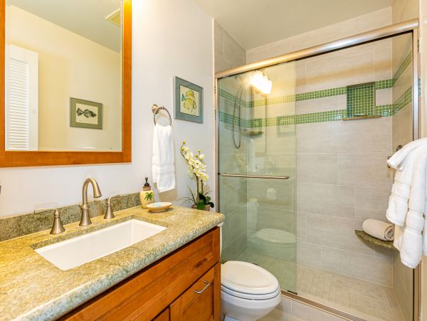 Wailea Condo 978202