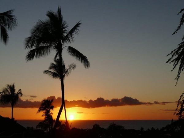 Wailea Condo 978202