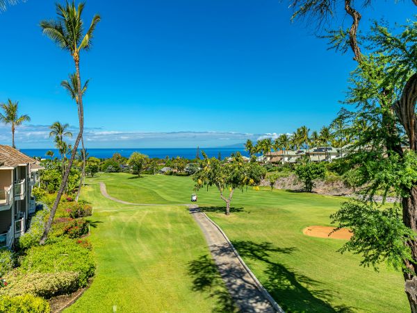 Wailea Condo 978202