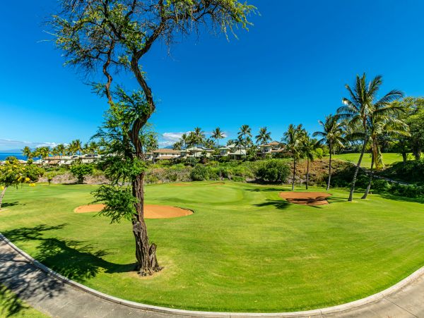 Wailea Condo 978202