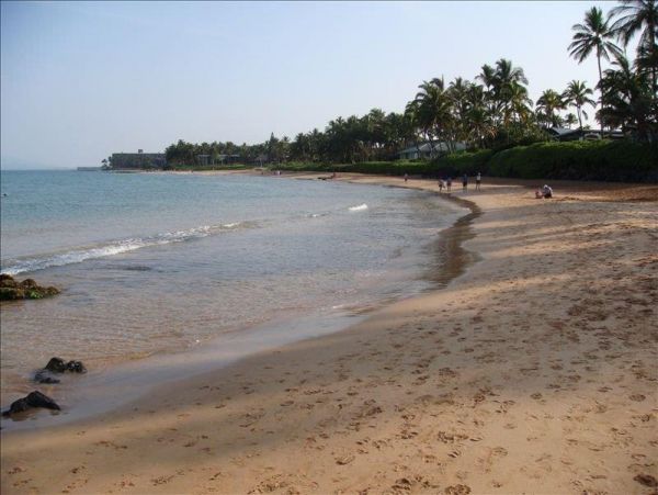 Wailea Condo 978202