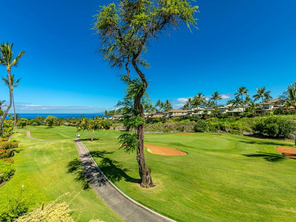 Wailea Condo 978202