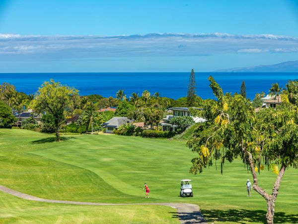 Wailea Condo 978202