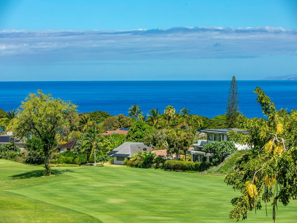 Wailea Condo 978202