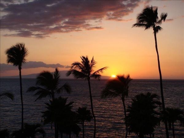 Wailea Condo 978202